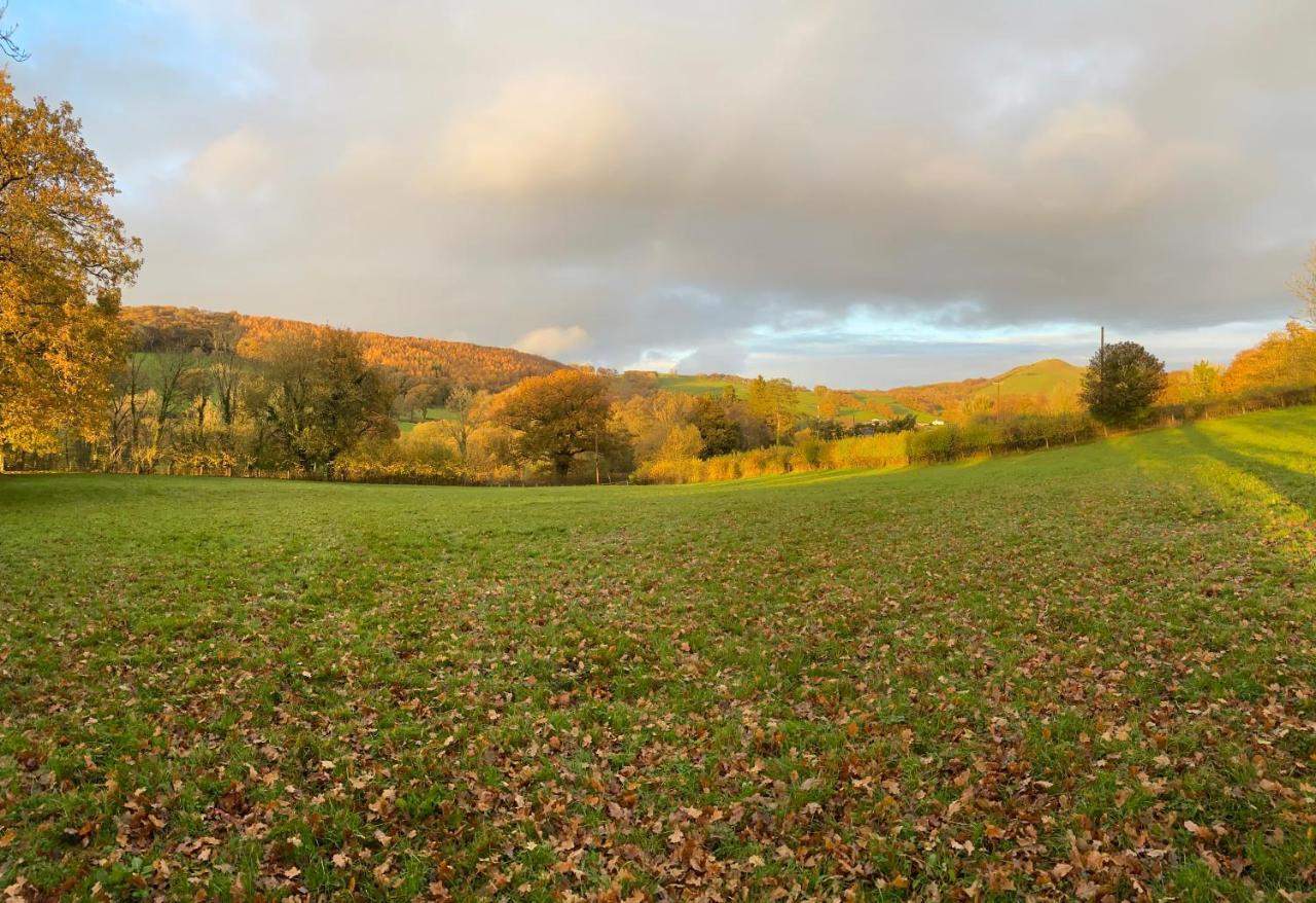 Oakies Farm Stays Llandovery Extérieur photo
