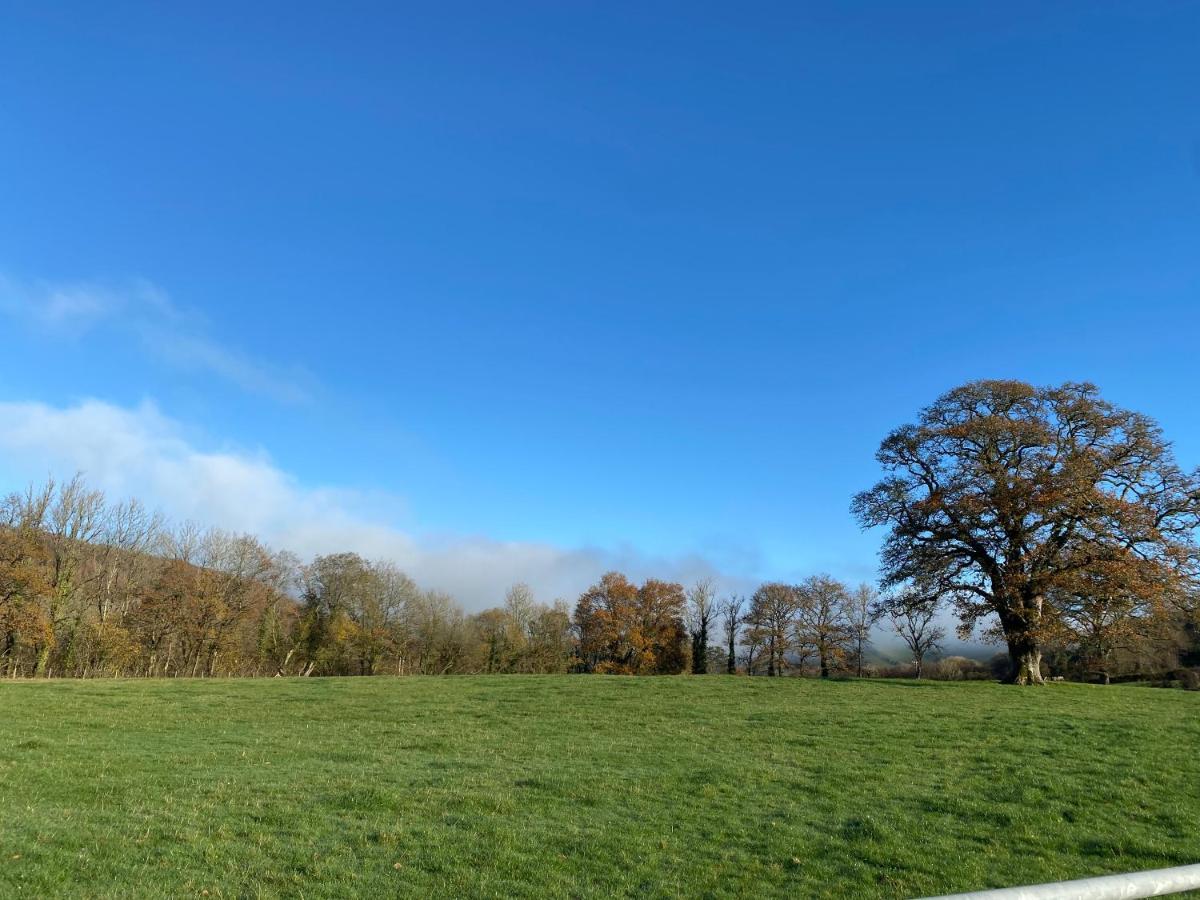 Oakies Farm Stays Llandovery Extérieur photo