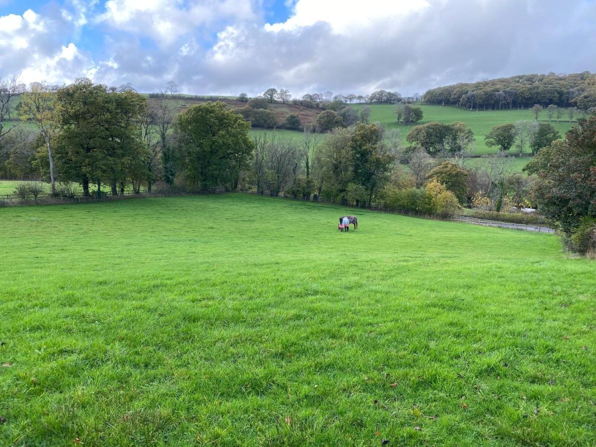 Oakies Farm Stays Llandovery Extérieur photo