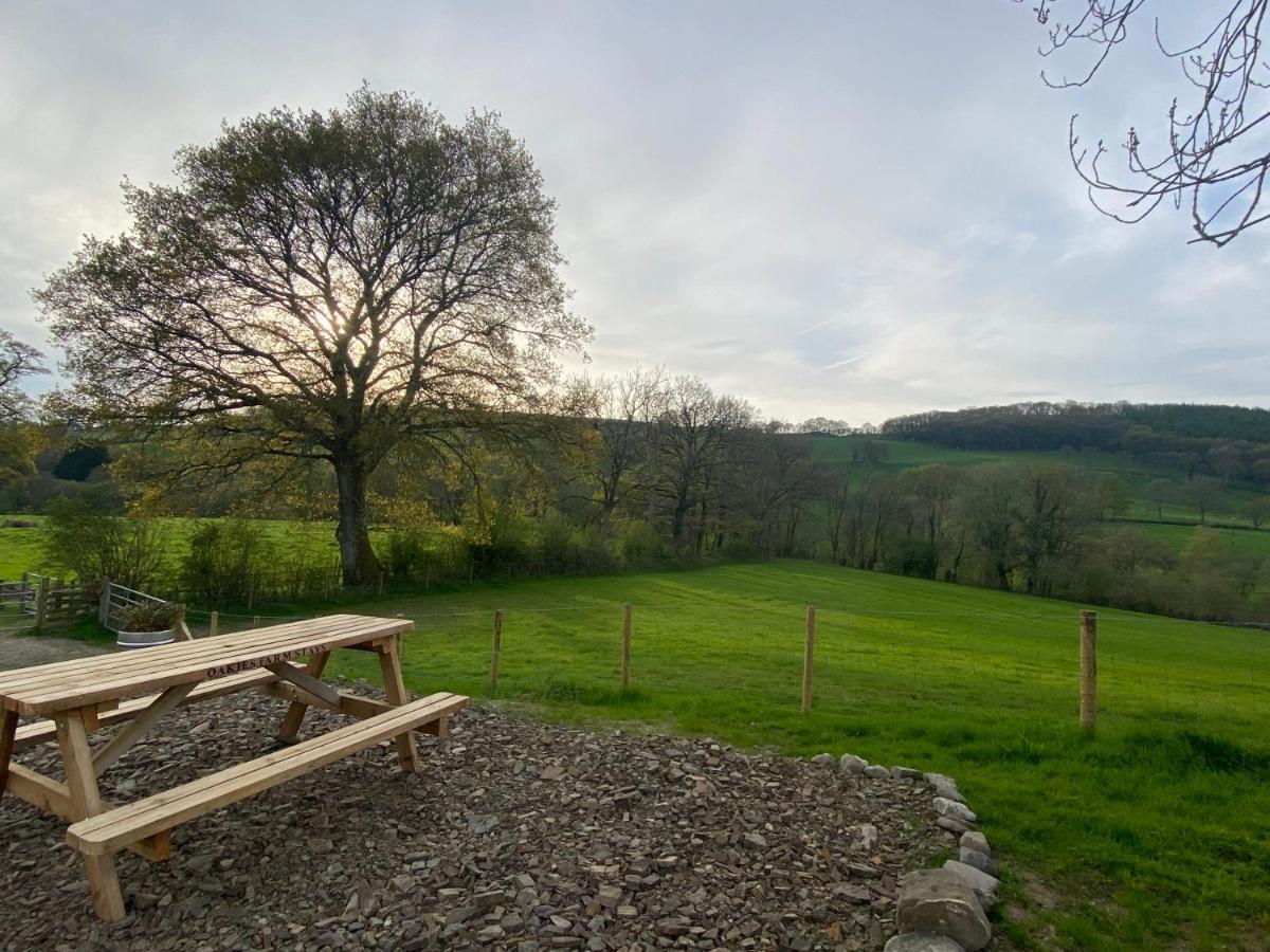 Oakies Farm Stays Llandovery Extérieur photo