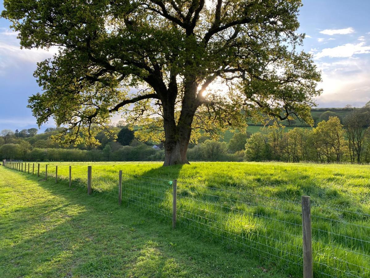 Oakies Farm Stays Llandovery Extérieur photo