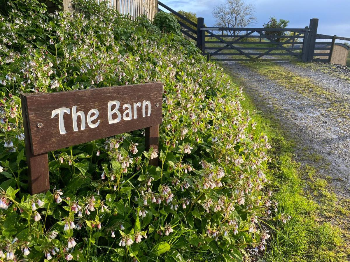 Oakies Farm Stays Llandovery Extérieur photo